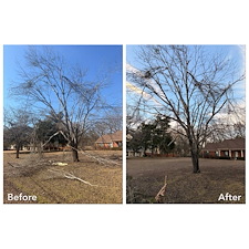 Safe-Again-Storm-Debris-Cleanup-In-Oxford-MS 0